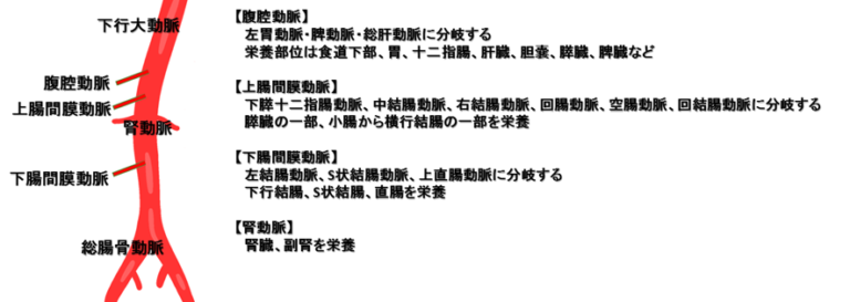 腸間膜静脈血栓症患者の見通し